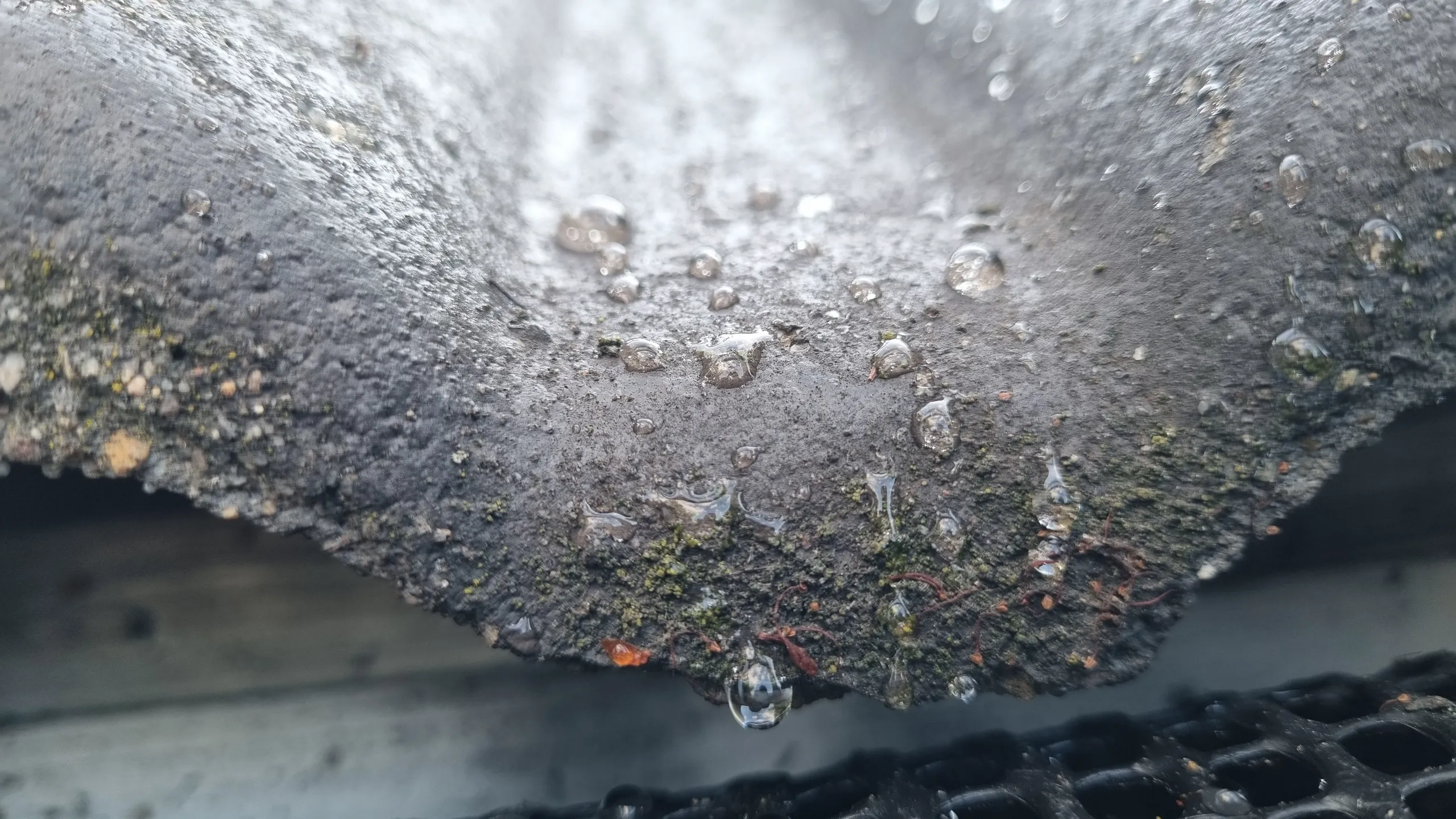 Zbliżenie na zabrudzoną dachówkę z kroplami wody, wskazującą na potrzebę mycia dachu